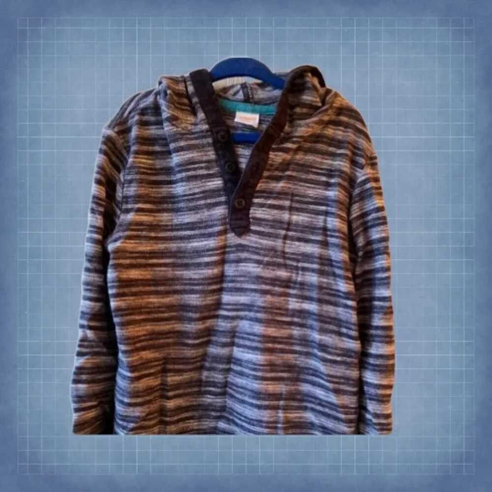 Gymboree Hooded Long Sleeve Shirt
